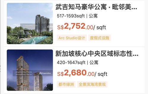 新加坡房產(chǎn)經(jīng)紀(jì)最怕什么 不是市場冷，是中國人搜不到你